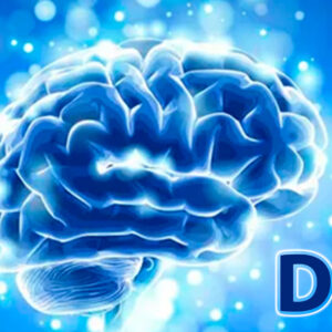 Sessão de DNB para Auto Confiança, Se Empoderar e Preparar-se para Passar em Provas, Vestibulares, Exames e Testes